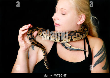 Portrait of girl with Royal Python snake. Woman holds Ball Python snake around neck and in hands, posing in front the camera. Stock Photo