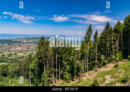 Landscape view of coniferous forest on a mountain slope, cities in the distance, hills and blue sky with cloudsHaute-Savoie in France. Stock Photo
