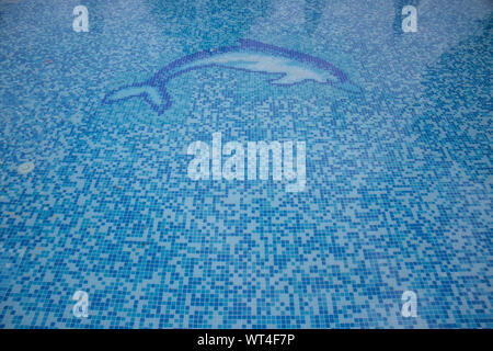 Close up of a blue hotel Swimming pool with blue mosaic tiles of the pool. Stock Photo