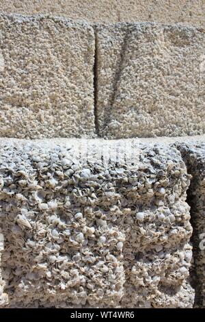 Quarry of shell where blocks were made for building houses by the first ...