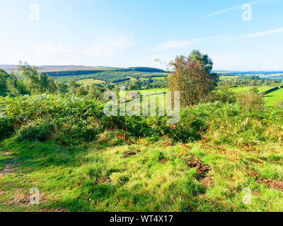 Late summer morning in the Derbyshire Peak District near the town of Baslow. Stock Photo