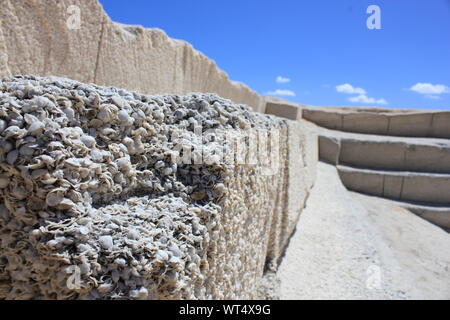 Quarry of shell where blocks were made for building houses by the first European Colonies in Shark Bay, Western Australia Stock Photo