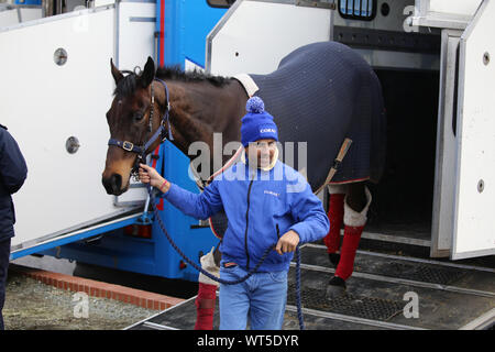 Crowds gather at the world famous Cheltenham festival. The Uk's premier National Hunt race meeting and a mecca for an army of traveling Irish fans Stock Photo