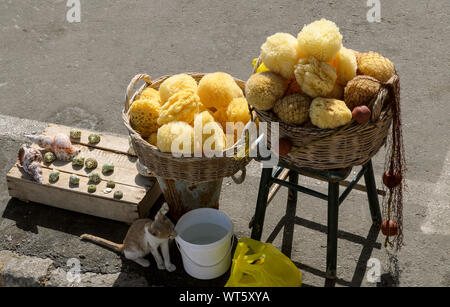 Typical scenery of the Cretan port of Heraklion with sea sponges in wicker baskets, a net, a variety of sea shells and a cat. Stock Photo