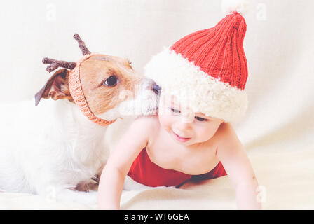 Dog wearing reindeer antlers kissing baby in Santa Claus costume Stock Photo