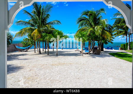 Empty hammocks between palm trees on a quiet tropical beach in the Florida Keys Stock Photo
