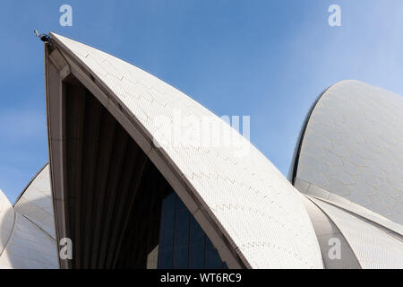 Sydney Opera House Roof Sails Close Up Detail Abstract. Blue Sky. Daytime. Stock Photo