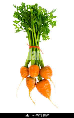 Just harvested Round romeo carrots, isolated on white background. Studio Photo Stock Photo