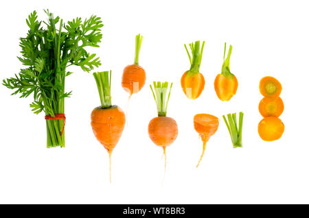 Just harvested Round romeo carrots, isolated on white background. Studio Photo Stock Photo