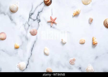 Sea shells pattern on marble desk. Flat lay, top view, overhead Stock Photo