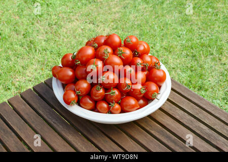 Large heap of juicy fresh Red Alert cherry tomatoes in a white ceramic serving dish on a wooden garden table Stock Photo