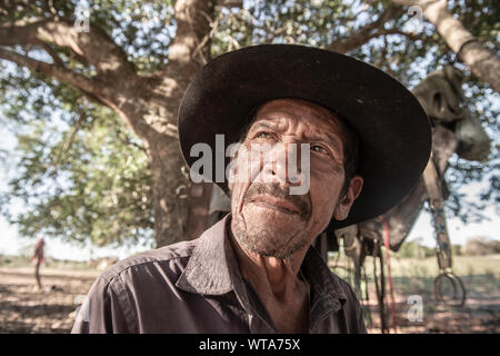 Pantaneiro resting after a long ride in Pantanal Stock Photo