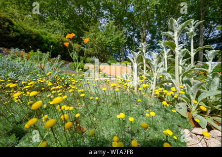 The Dubai Majlis Garden by Thomas Hoblyn Stock Photo