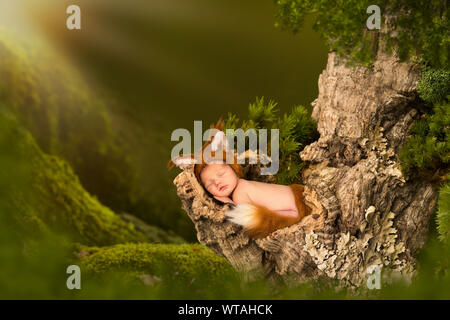 Newborn baby in fox outfit sleeping in a hollow tree and moss Stock Photo