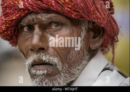 Rajasthani man looking away wearing a red turban Stock Photo