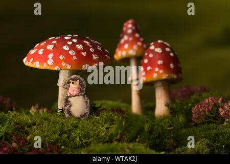 Little baby in hedgehog costume sleeping under fly agaric toadstools Stock Photo