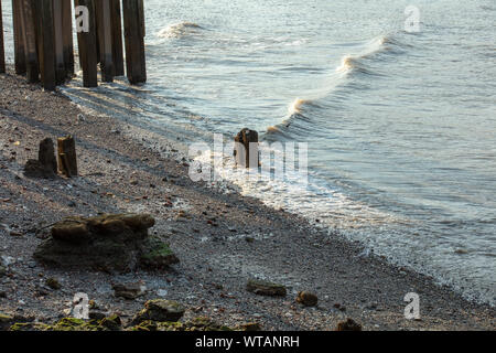 Wave line on the river Thames in London at low tide, when gravel, stones and old wooden structures are visible, on a sunny evening in summer. Stock Photo