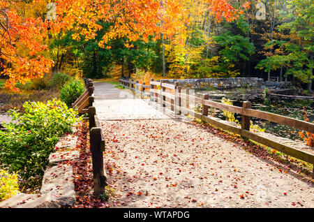 Fenced path to a small wooden bridge covered in leaves in a park on a sunny day. Beautiful autumn colours. Stock Photo