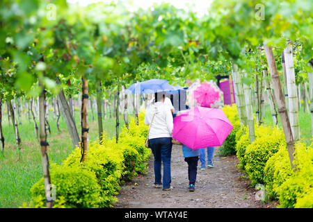 Happy Mother and Son Through the Rain Walking Outdoors Stock Photo