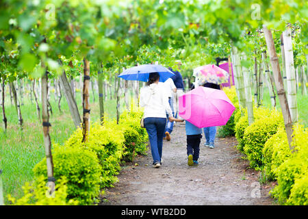 Happy Mother and Son Through the Rain Walking Outdoors Stock Photo