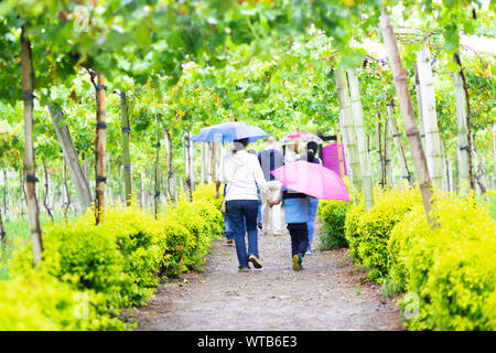 Happy Mother and Son Through the Rain Walking Outdoors Stock Photo