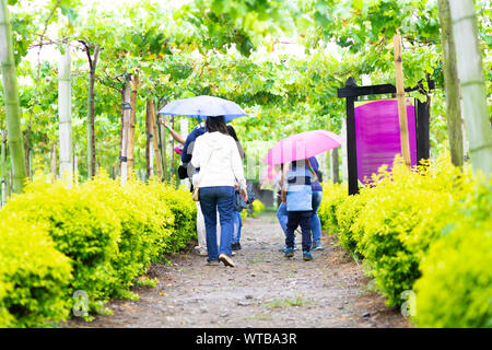 Happy Mother and Son Through the Rain Walking Outdoors Stock Photo