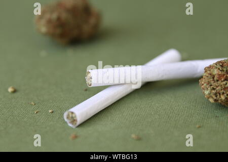 Marijuana Pre-Roll Cigarettes on Green Background Stock Photo