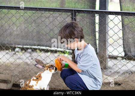 Happy Boy Playing with Rabbit in the Farm Stock Photo