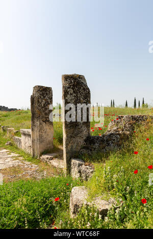 Old columns and self grown puppy flowers in agora area Hierapolis Pamukkale Turkey Stock Photo