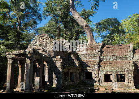 Eastern entrance to the inner temple complex, Ta Prohm, Angkor, Siem Reap, Cambodia Stock Photo