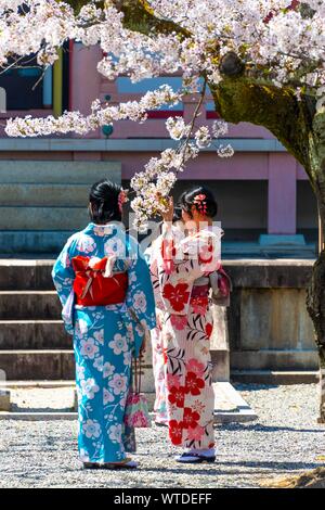 Japanese women with kimono at pagoda Amidado, Chion-in temple, Kyoto, Japan Stock Photo