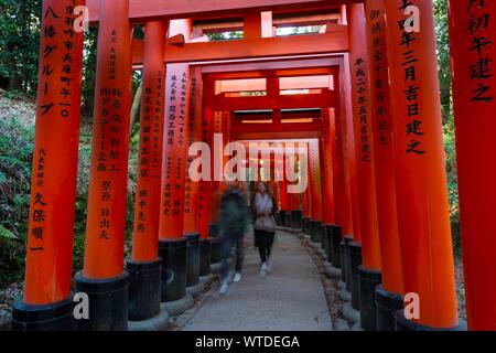 Pedestrians at Fushimi Inari Taisha, Shinto shrine, many red traditional Toriii gates, Fushimi Inari-taisha Okusha Hohaisho, Fushimi, Kyoto, Japan Stock Photo