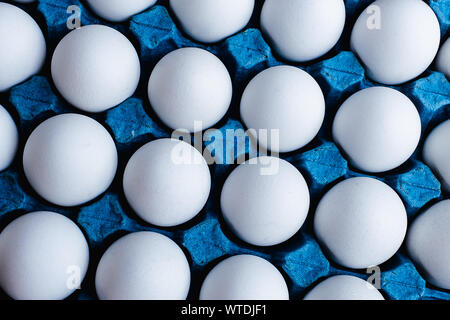 Photograph of various eggs in blue coloring tray. Stock Photo