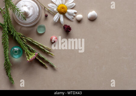 Flat view. Still life of plant twigs, chamomile pebbles, and seashells. Spa. Background brown ceramic tile. There is a place for text. Stock Photo