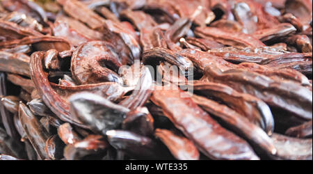 Carob for sale on a market in Turkey. selective focus. Stock Photo