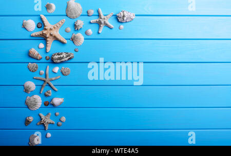 Marine still life on wooden background. Stock Photo