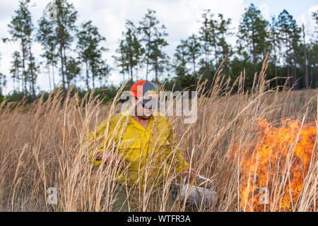 Prescribed burn to restore ecosystem health at the Old Florida mitigation bank in Pasco County, Florida, United States. Stock Photo