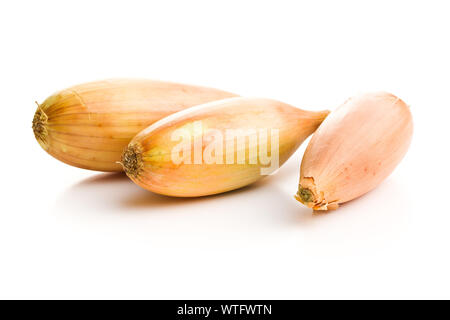 The golden shallot onion. Fresh bulbs isolated on white background. Stock Photo