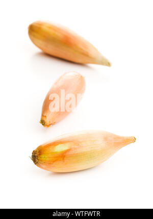 The golden shallot onion. Fresh bulbs isolated on white background. Stock Photo