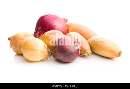 The golden shallot onion. Fresh bulbs isolated on white background. Stock Photo