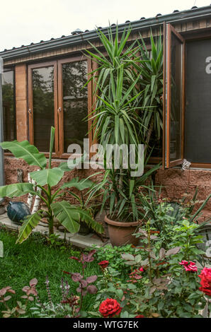 Glazed summer kitchen in the courtyard among ornamental plants in pots, bushes of flowering roses and clay jugs against the wall Stock Photo