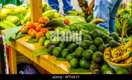 avocado in Colombia Stock Photo - Alamy