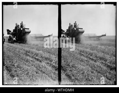 Modern harvester on Plain of Esdraelon. May 26, 1935 Stock Photo