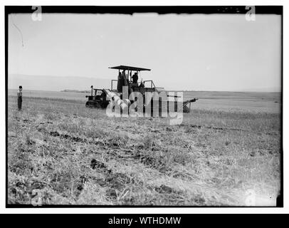 Modern harvester on Plain of Esdraelon. May 26, 1935 Stock Photo