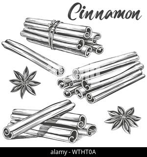 cinnamon seasoning ingredient for cooking food isolated on white background hand drawn vector illustration realistic sketch. Stock Vector