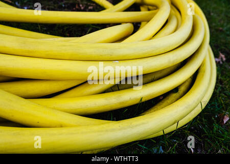 Yellow plastic hose pipe in the garden Stock Photo - Alamy