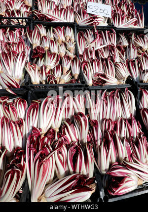 boxes of red chicory typical of northern Italy called RADICCHIO TARDIVO for sale at the market Stock Photo