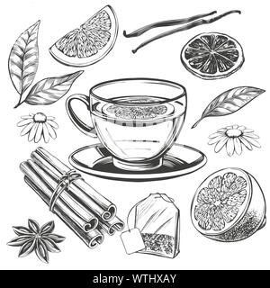 tea set isolated on white background hand drawn vector illustration realistic sketch. Stock Vector
