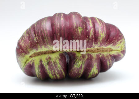 Fresh isolate graffiti eggplant or aubergine unusual shape on white background. Clipping path Stock Photo
