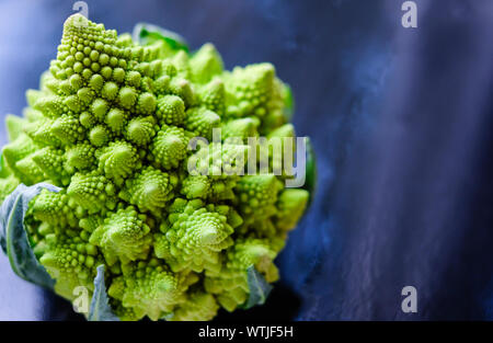Close up view of amazing Romanesco broccoli or Roman cauliflower on wet dark blue background. Its form is a natural approximation of a fractal. Stock Photo